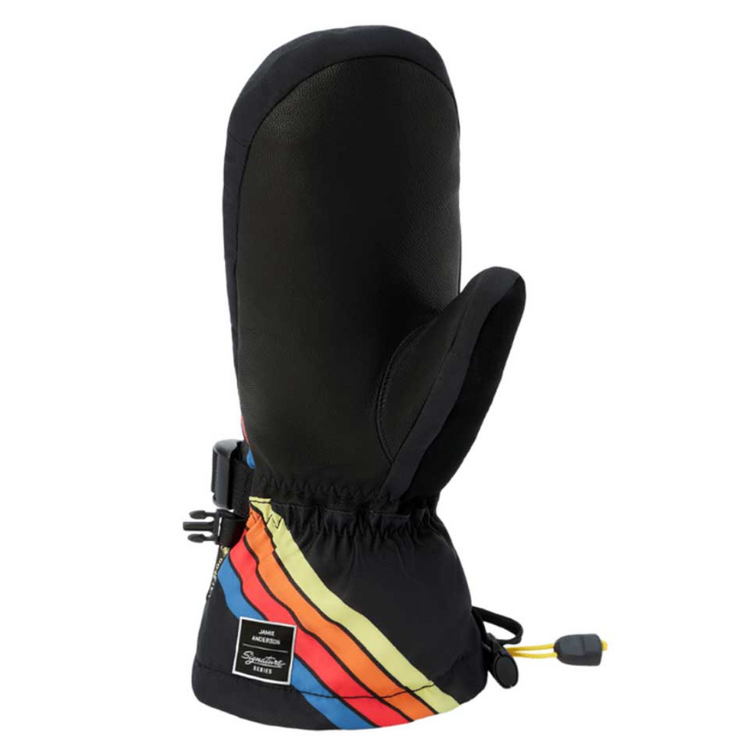 Dakine Dakine WOMENS TEAM SEQUOIA 2.0 LEATHER DLX GORE-TEX MITTS JAMIE ANDERSON ANDERSON STRIPES