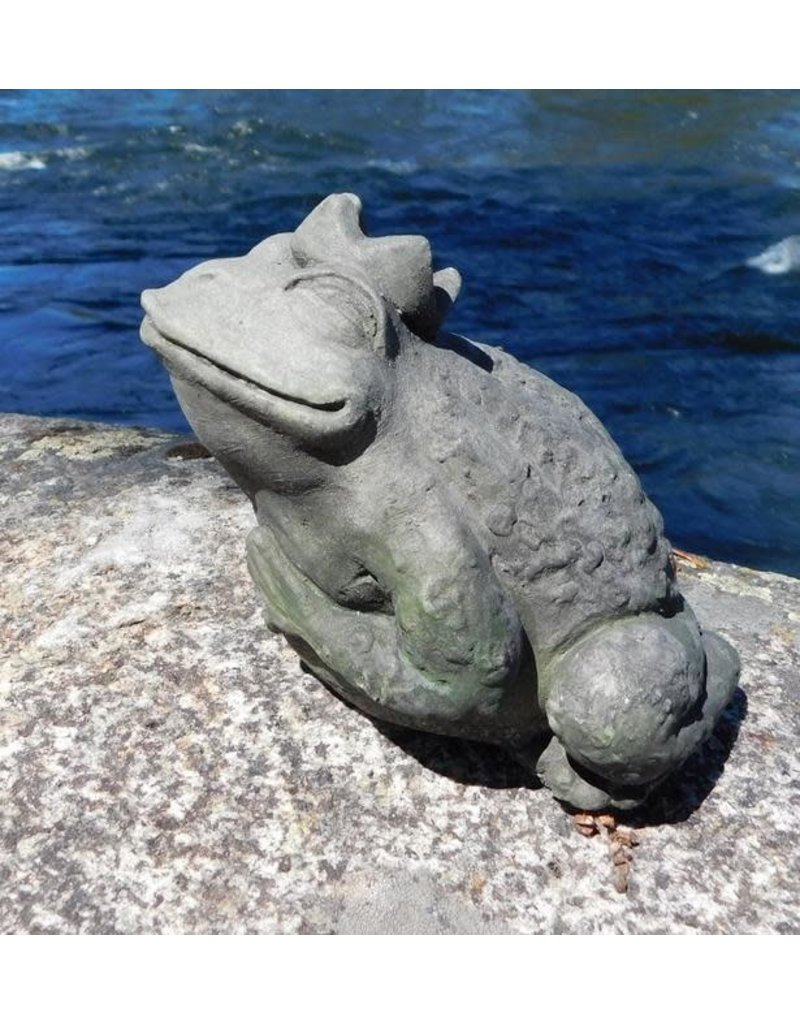 Greenman Frog Prince