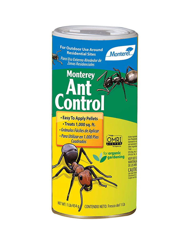 ant control brick township