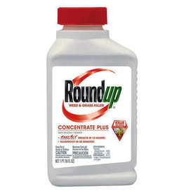 Monsanto Roundup Concentrate 16oz