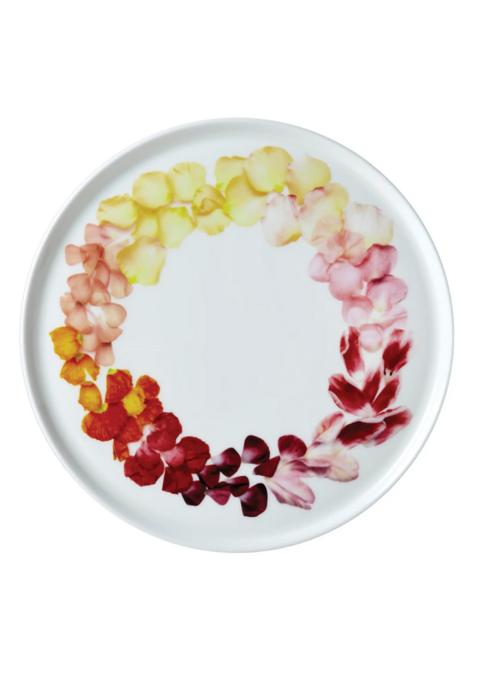 Petals // Dinner Plate // Set of 6