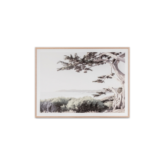 Framed Print - Californian Coast