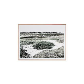 Winter Scape - Framed Print