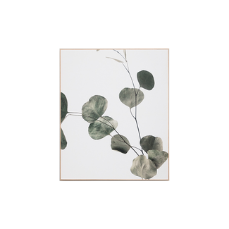 Middle of Nowhere Eucalyptus Branch 2 - Framed Canvas