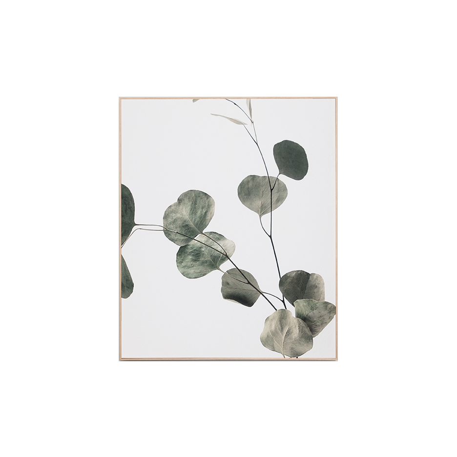 Framed Print On Canvas Eucalyptus Branch 2 Dwell