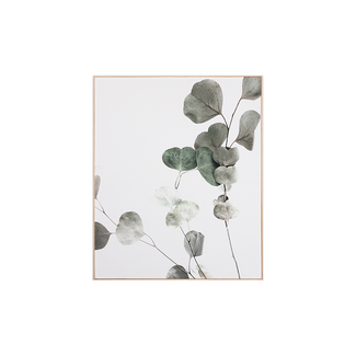 Middle of Nowhere Eucalyptus Branch 1 - Framed Canvas