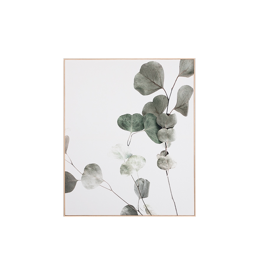 Framed Print On Canvas - Eucalyptus Branch 1 - Dwell