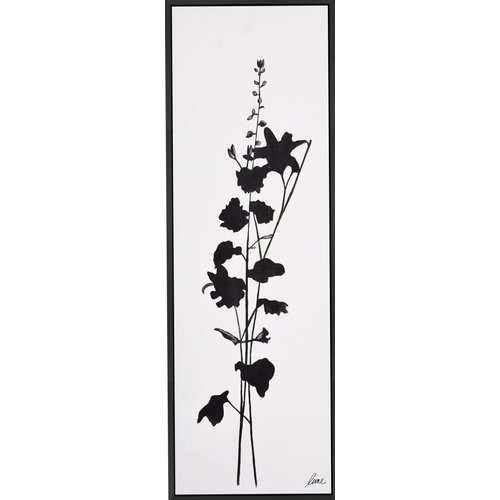 RENWIL cadre mensa fleur noir fond blanc RENWIL cadre mensa fleur noir fond blanc