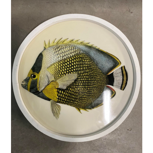 Cadre avec poisson jaune