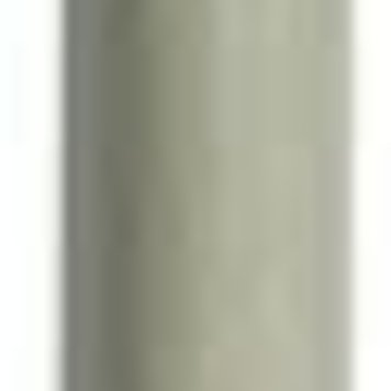 WOOSTER Wooster manche telescopique  4-8 pi