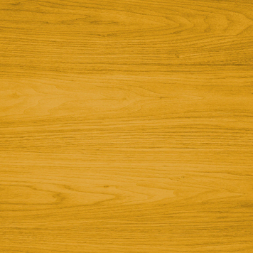 LIVOS ALIS-HUILE TERRASSE BUIS 10L