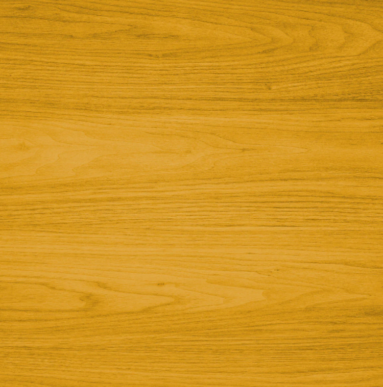 LIVOS ALIS-HUILE TERRASSE BUIS 5L