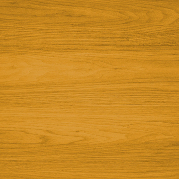 LIVOS Alis-huile terrasse meleze 50ml