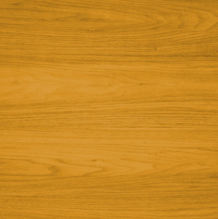 LIVOS ALIS-HUILE TERRASSE MELEZE 5L