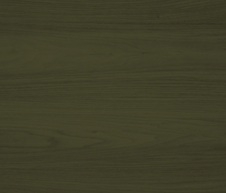 LIVOS Donnos-huile cloture vert 5l