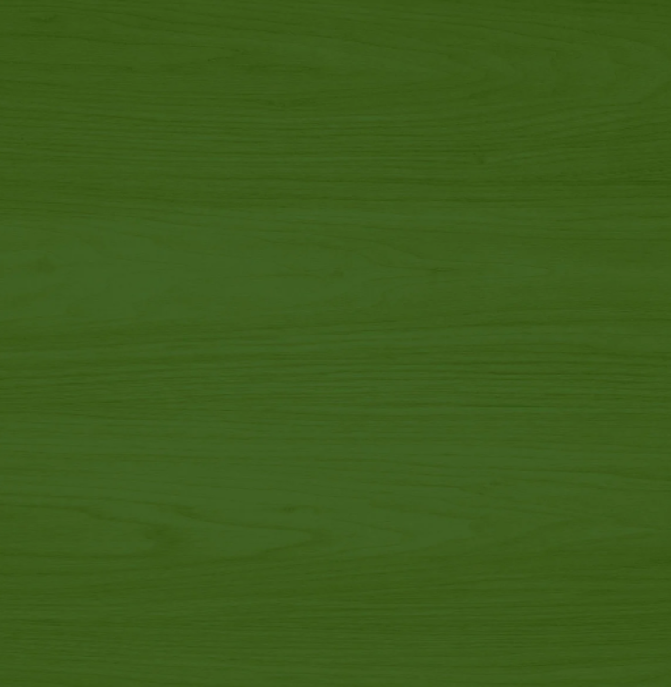 LIVOS Lanon- huile jouet kiwi 50ml