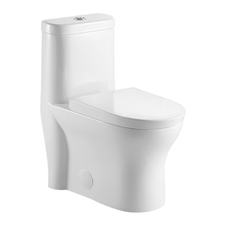 NEPTUNE Toilette florence double chasse 12 po blanc