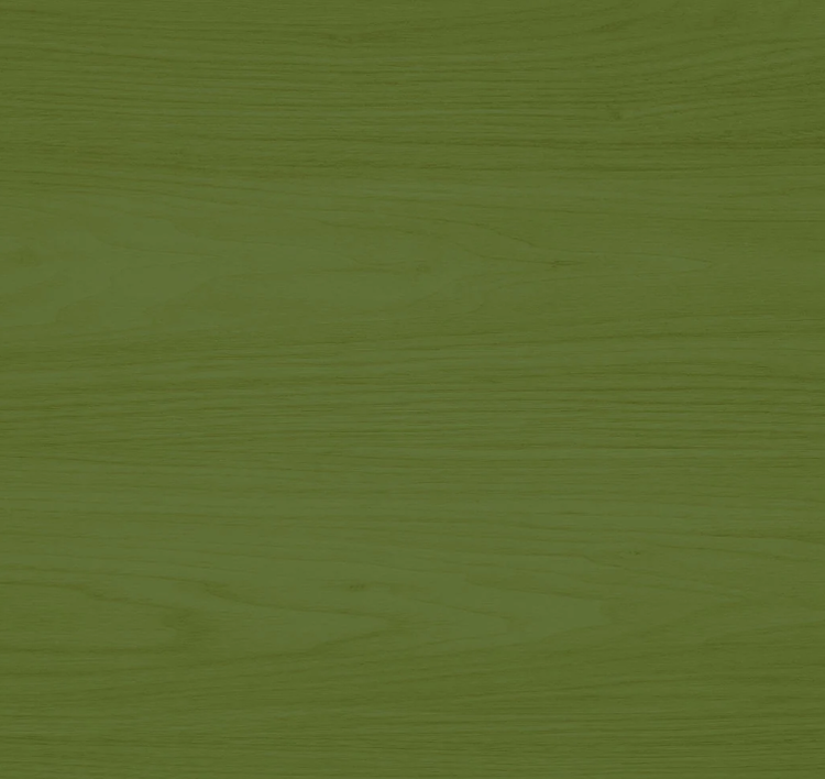 LIVOS Lanon- huile jouet vert 50ml