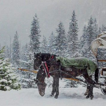 NOSTALGIA Cadre lumineux au led chevaux et calèche 23-1/2  x 15-3/4po