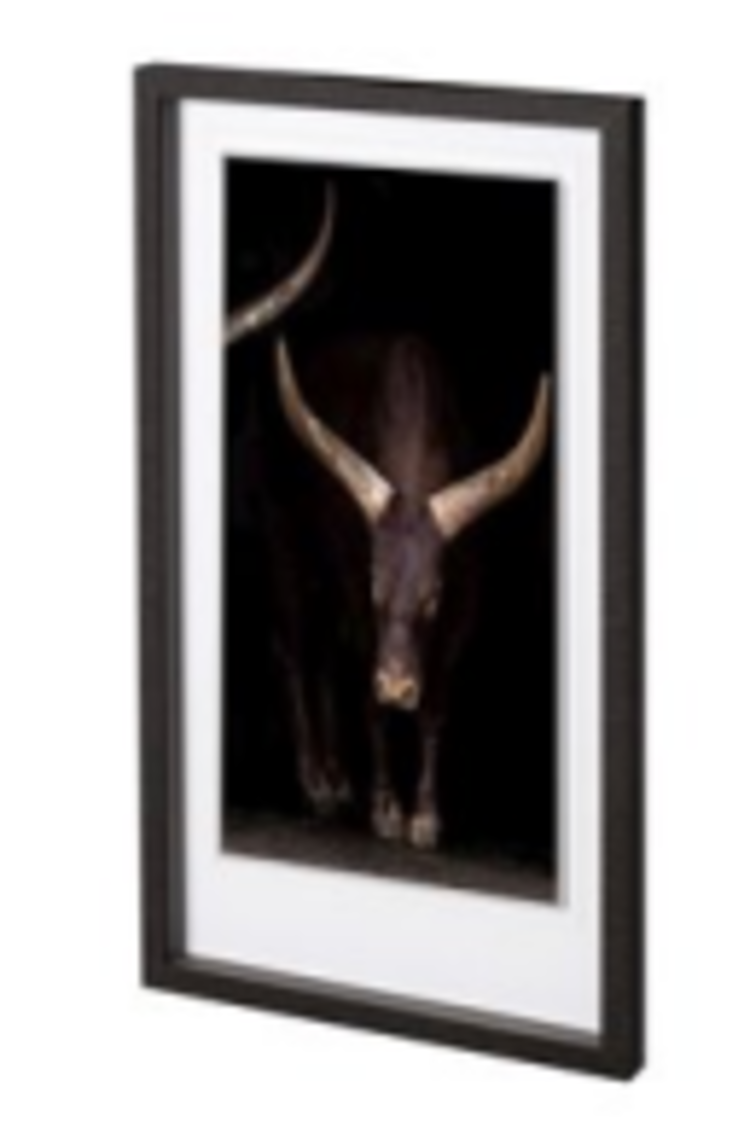 MERCANA Cadre boeuf et corne noir 17-1/2 x 31-1/2po