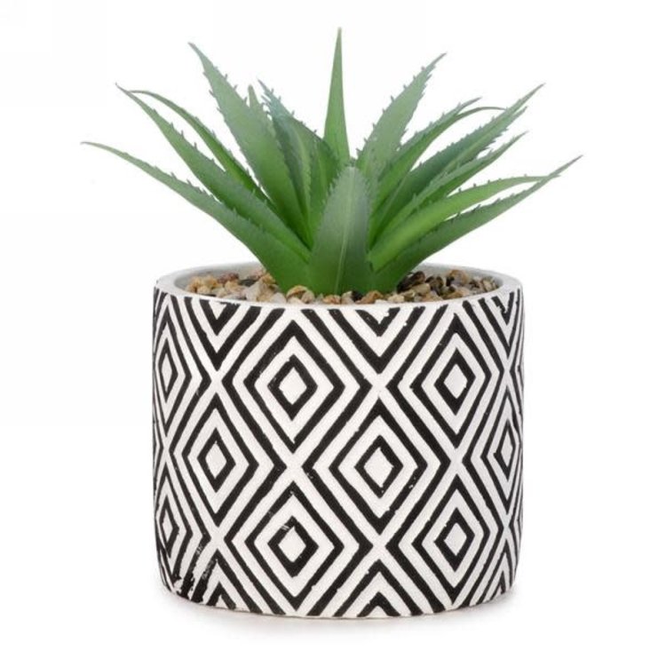 ATTITUDES Cactus en pot avec losange noir/blanc