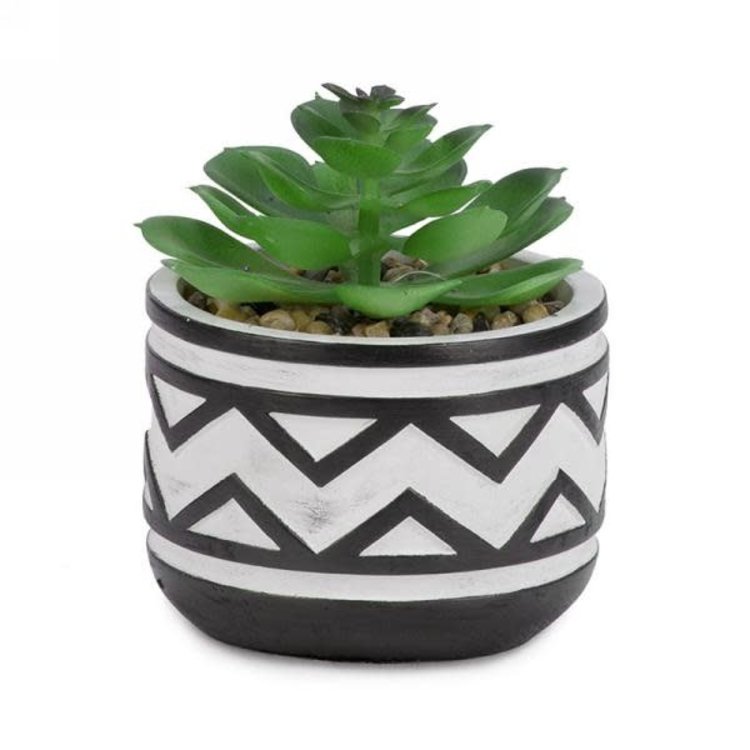 ATTITUDES PLANTE EN POT AVEC TRIANGLE NOIR/BLANC