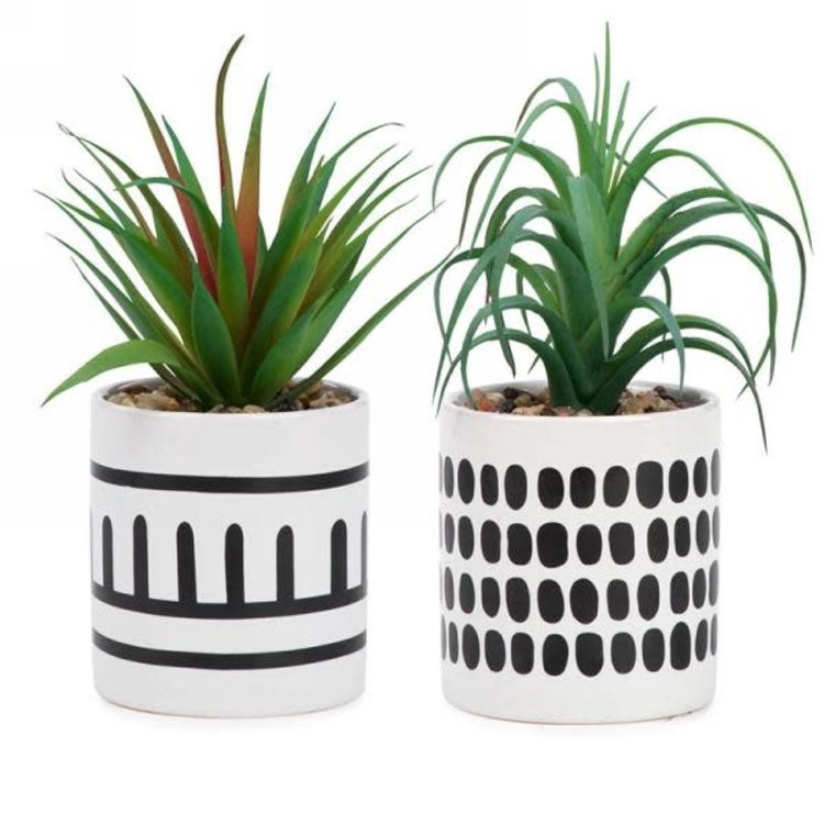 ATTITUDES Plante en pot azteque noir/blanc assortie/vendu a l'unite