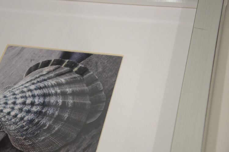 CADRE DRIFTWOOD IV COQUILLAGE BLEU/GRIS 14X14