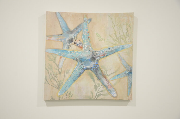 ATTITUDES Cadre etoile de mer bleue et algue 15 x 15po