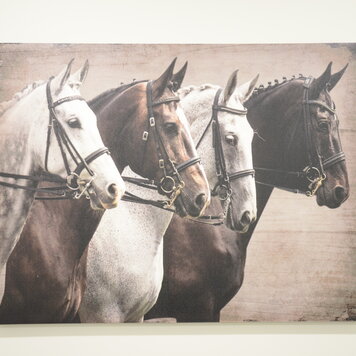Cadre 4 chevaux 31.5 x 23.5po