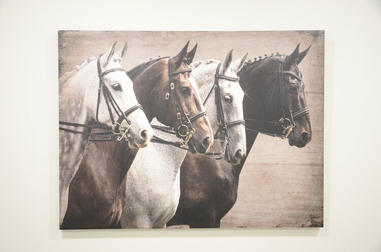 CADRE 4 CHEVAUX 31.5X23.5