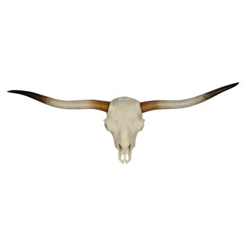 RENWIL d- TÊTE MURALE EN RÉSINE BLANCHE/BRUNE