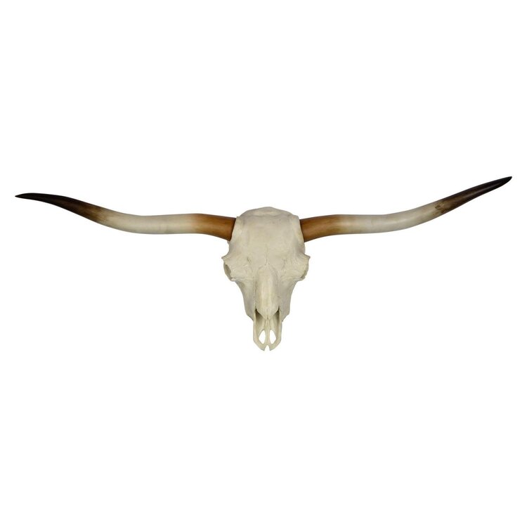 RENWIL d- TÊTE MURALE EN RÉSINE BLANCHE/BRUNE