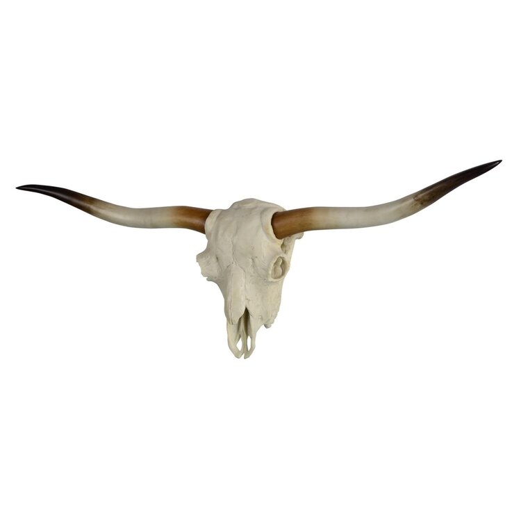 RENWIL d- TÊTE MURALE EN RÉSINE BLANCHE/BRUNE