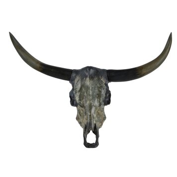 RENWIL Discontinué - Crâne de taureau longhorn installation murale teinte foncée