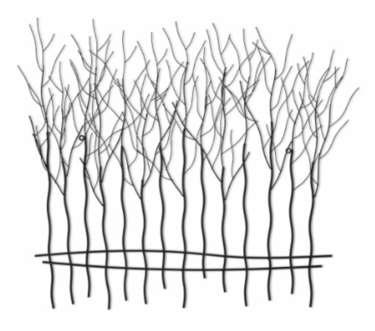 ABBOTT Arbre murale en metal noir 33po