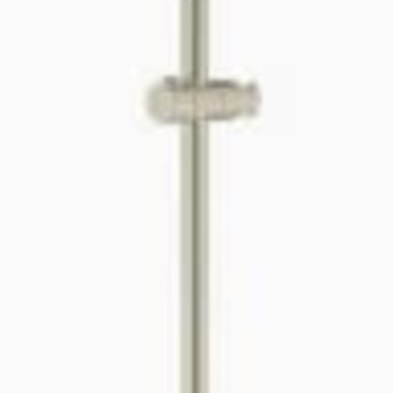 RIOBEL Barre de douche sur rail pour modele 6006 nickel brossé