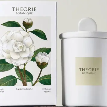 THEORIE BOTANIQUE Chandelle camelia blanc 50 heures