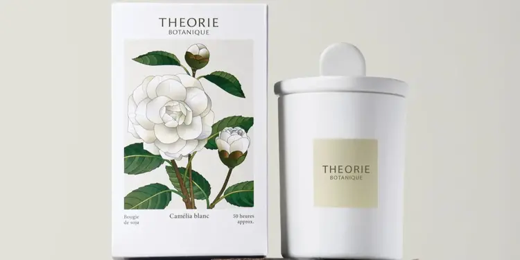 THEORIE BOTANIQUE Chandelle camelia blanc 50 heures