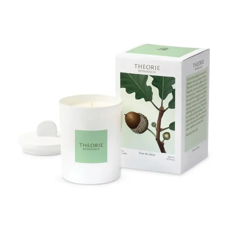 THEORIE BOTANIQUE Chandelle feu de chene 50 heures