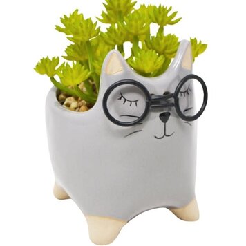 NOSTALGIA Pot à plante avec chat lunette 17 X 9 X 14 cm gris