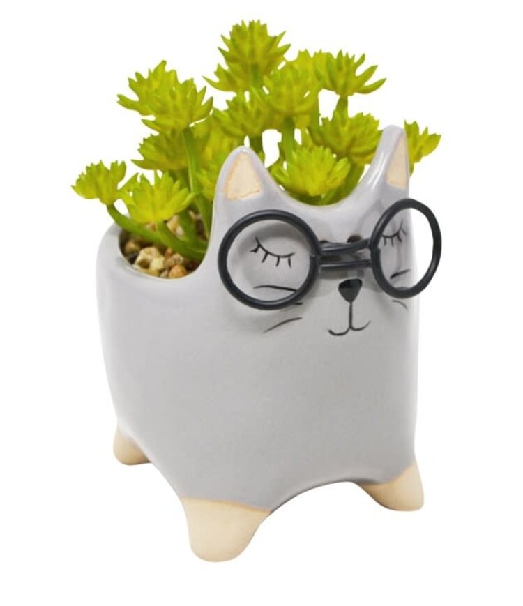 NOSTALGIA Pot à plante avec chat lunette 17 X 9 X 14 cm gris