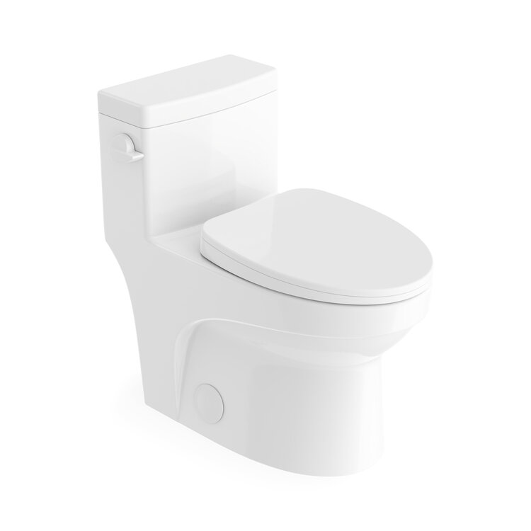 NEPTUNE Toilette adams allongée clanche latéral blanc