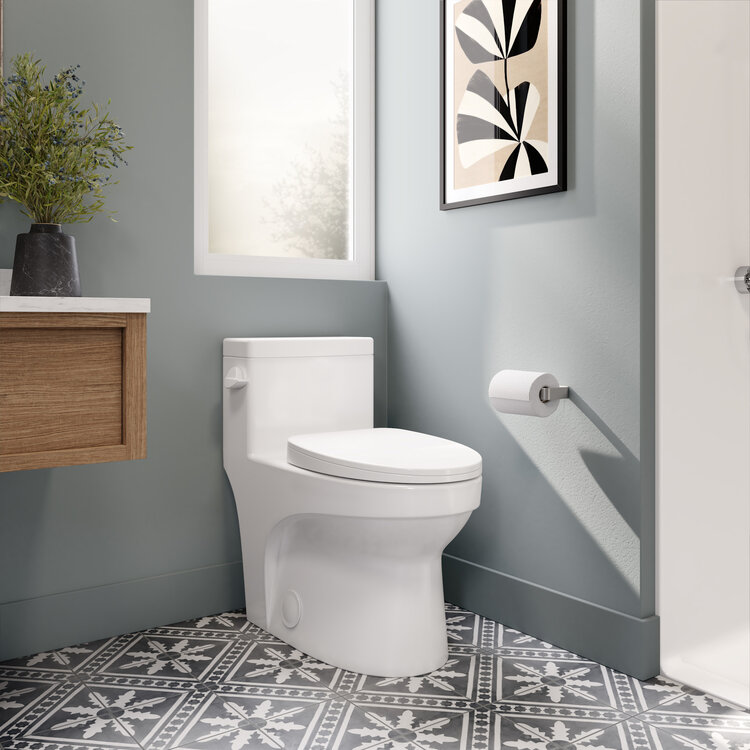 NEPTUNE Toilette adams allongée clanche latéral blanc