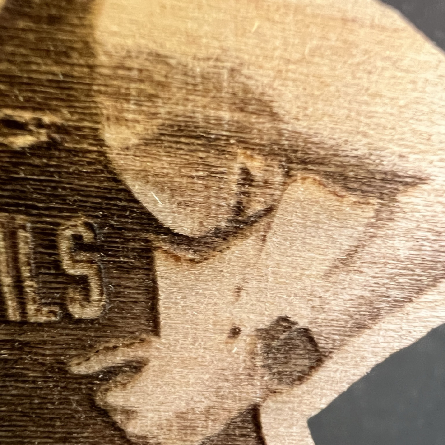 Mad Dash Creations Custom Wooden Picture Ornament