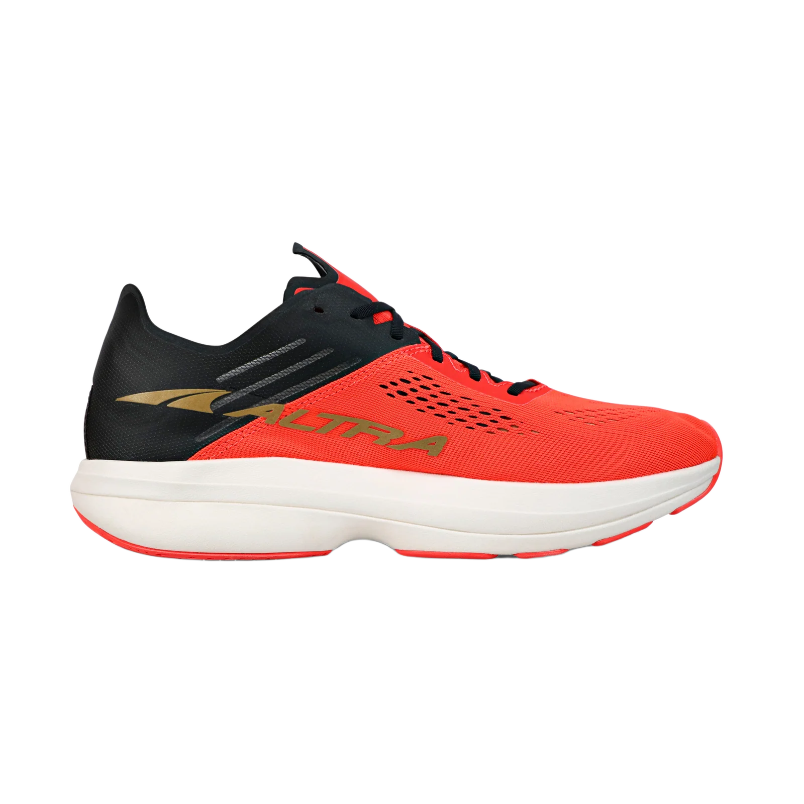 Altra Men's Vanish Carbon