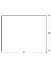 North American Paper Products Bristol Board  22"x28" - White