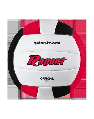 Regent Regent Volleyball