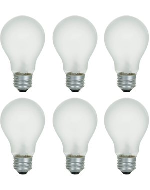  100W  A19 Rough Service Light Bulb  Frosted   2pk (Incl. $0.10 Env Fee)