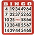 Popular Playthings Bingo Cards 100pk